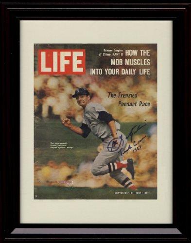 Unframed Carl Yastrzemski Autograph Replica Print - 1967 Life Magazine Unframed Print - Baseball FSP - Unframed   