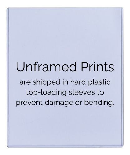 Unframed Alana Blanchard Autograph Replica Print Unframed Print - Misc FSP - Unframed   