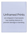 Unframed The Office Autograph Promo Print Unframed Print - Television FSP - Unframed   