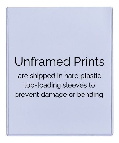 Unframed 2010 Duke SI Championship Commemorative Autograph Promo Print Unframed Print - College Basketball FSP - Unframed   